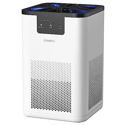 CONOPU Air Purifier For Bedroom Home, HEPA H13 Filter Air Purifier 3-Stage Filtration, Aromatherapy Function, Air Filter with Night Light, Portable Purifier For Pet Pollen Dander